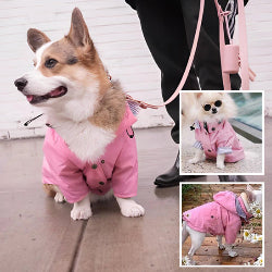 MANTEAU CHIEN -SPRINGDOGâą