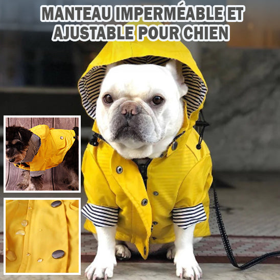 MANTEAU CHIEN PRINTEMPS-SPRINGDOGâą