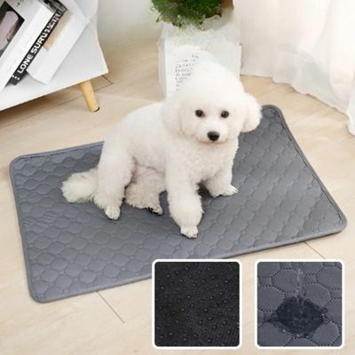 TAPIS POUR CHIEN PROPRE -OWNDOGâą