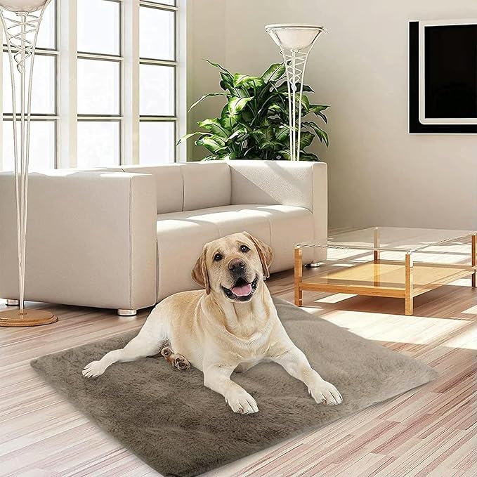 TAPIS RAFRAICHISSANT CHIEN -APAISE