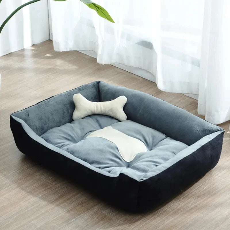 COUSSIN CHIEN AMI-FRIENDOGâą