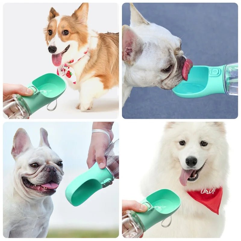 BOUTEILLE D'EAU POUR CHIEN/Hydrocanin™ (Copy) - Galaxie canine
