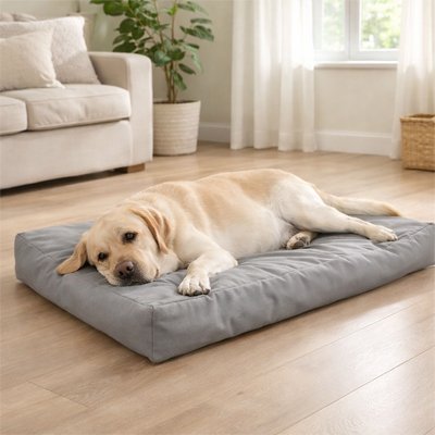 Coussin pour Chien