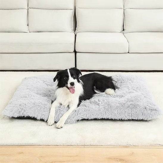 Coussin pour chien