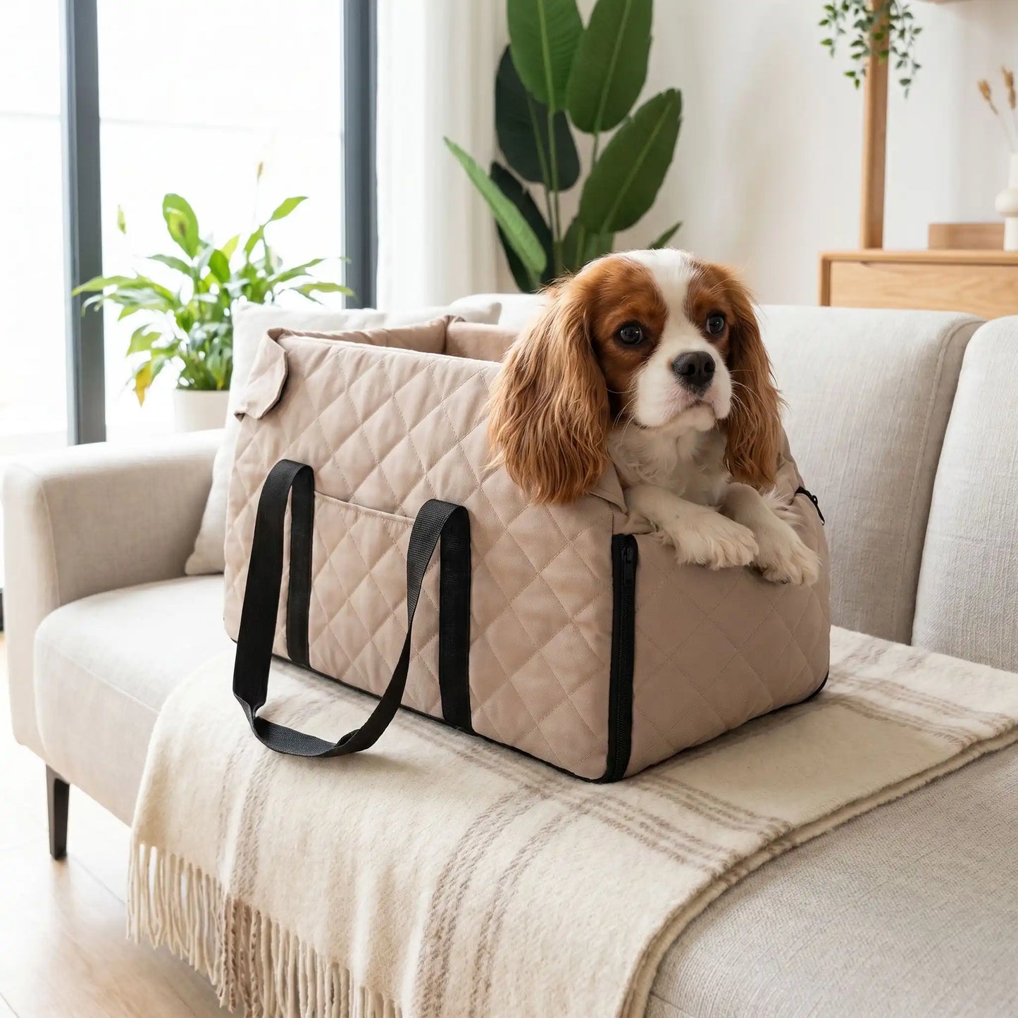 Sac de transport pour Chien | Respirant et Sécurisé sac de voyage confortable avec aeration