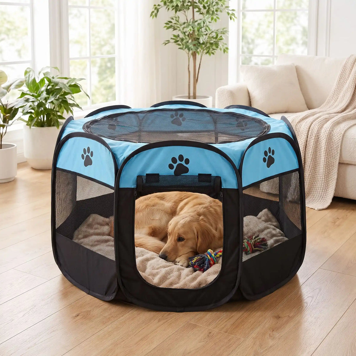Parc pour Chien | sécurité total et espace préservé