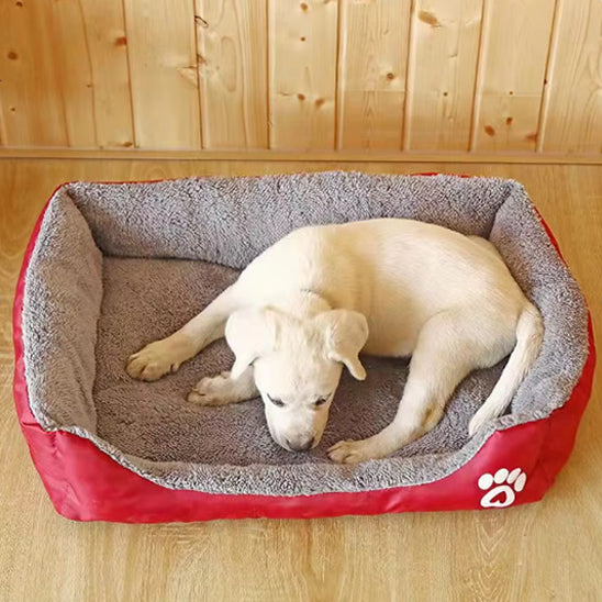 COUSSIN CHIEN UTILE-USEFULDOGâą