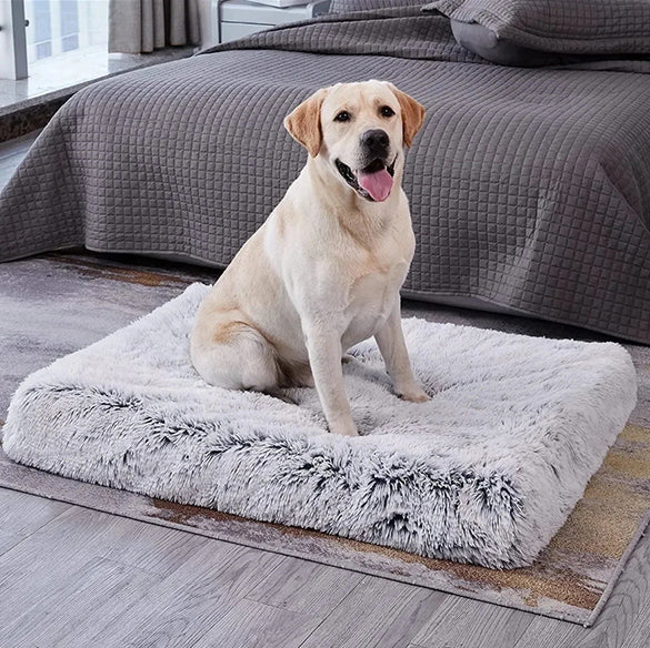 Coussin chien plat â repos confortable et pratique