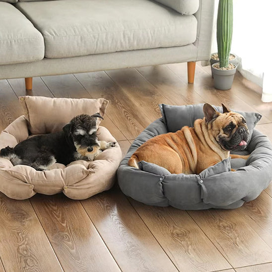 COUSSIN CHIEN PAUSE - BREAKYDOGâą