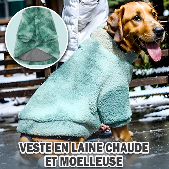 MANTEAU POUR CHIEN COUPE VENT -WINDOGâą