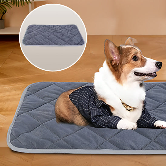 COUSSIN CHIEN SPACIEUX- SPACIOUSDOGâą