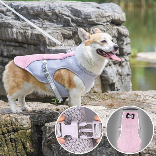 CHIEN MANTEAU JEUNESSE-YOUTHDOG™