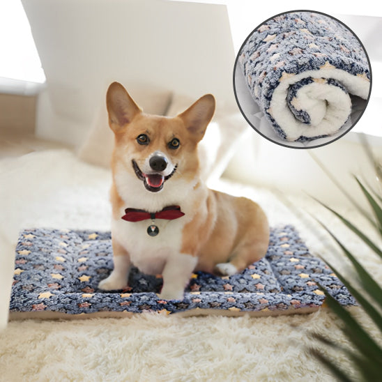COUSSIN CHIEN MOBILE - MOVIBLEDOG™