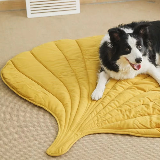 Tapis rafraîchissant chien – fraîcheur flexible été