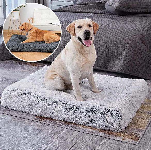 PANIER Ă CHIEN PELUCHE -PLUSHYDOGâą