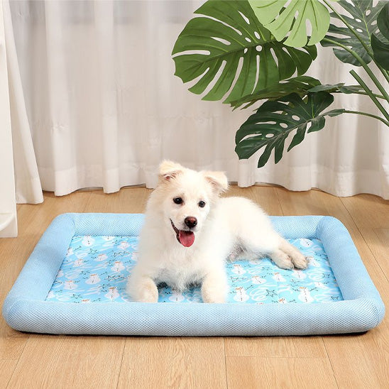 COUSSIN CHIEN MAGIE- MAGICDOGâą