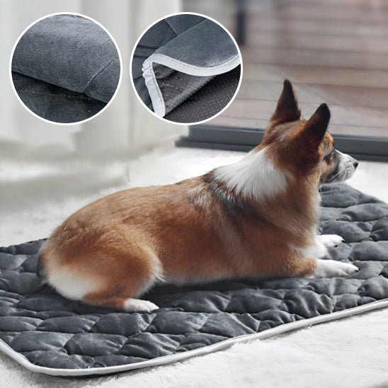 COUSSIN CHIEN SPACIEUX- SPACIOUSDOGâą
