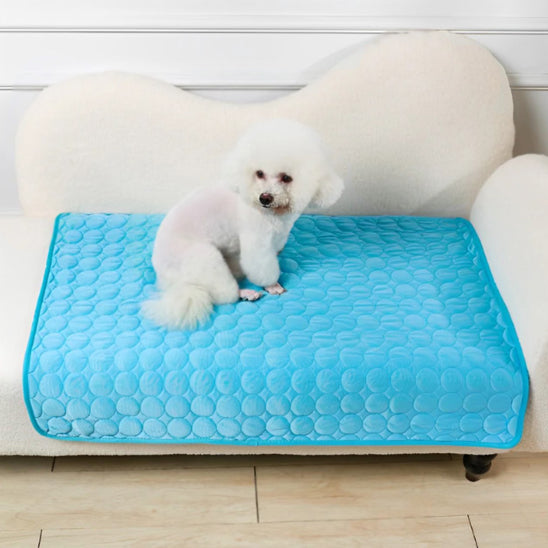 TAPIS RAFRAÎCHISSANT POUR CHIEN CHARMEUR-CHARMERDOG™