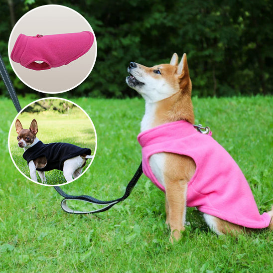 MANTEAU CHIEN CHALEUR -POLARDOGâą