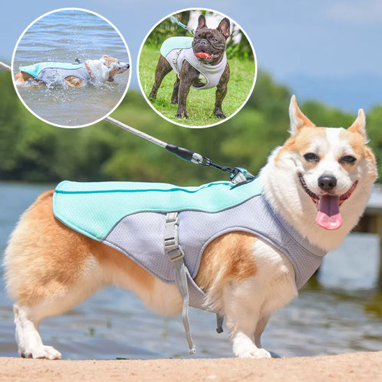 CHIEN MANTEAU JEUNESSE-YOUTHDOG™