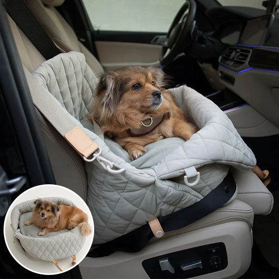 SAC A DOS POUR CHIEN BEAUTĂ-BEAUTYDOGâą