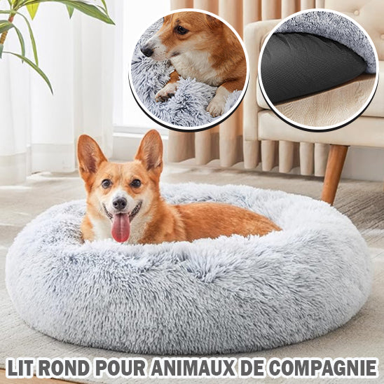 PANIER CHIEN DESIGN MIGNON-CUTYDOGâą
