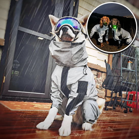MANTEAU CHIEN TOILE-CANVASDOGâą