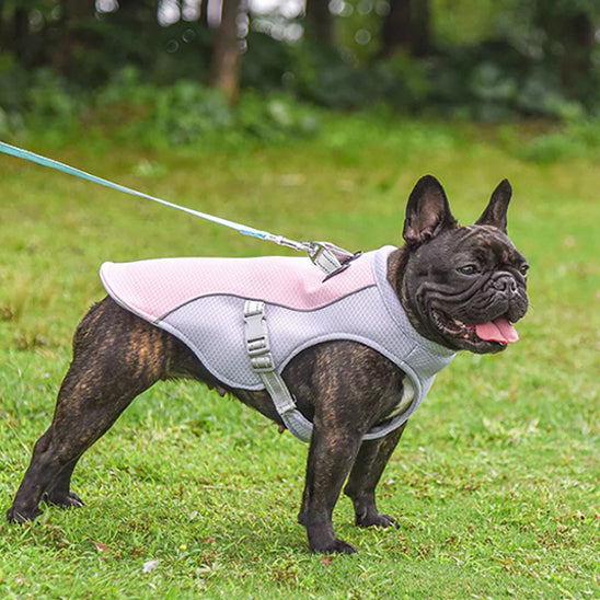 CHIEN MANTEAU JEUNESSE-YOUTHDOG™