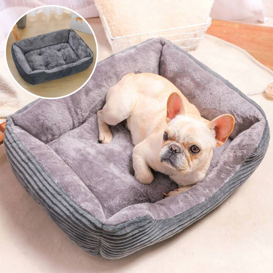 COUSSIN POUR CHIEN APPUI-SUPPORTDOG™