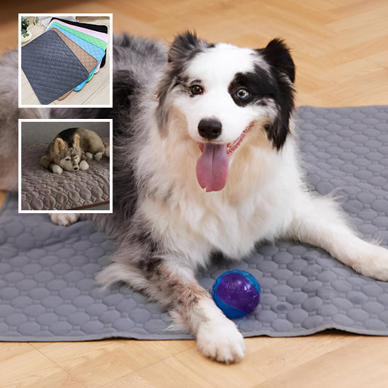 TAPIS POUR CHIEN PROPRE -OWNDOGâą
