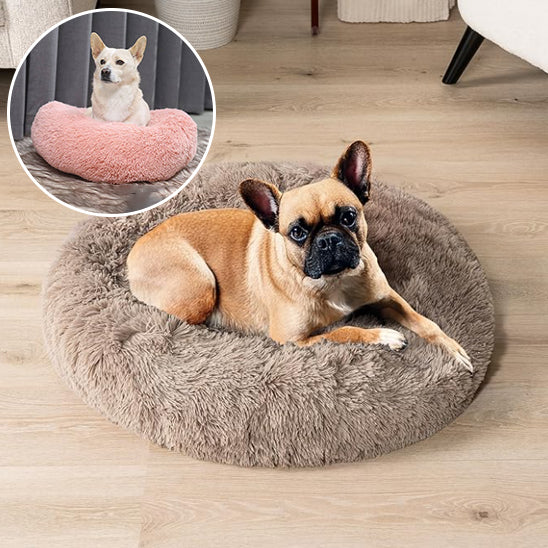 COUSSIN CHIEN CALME -QUIETDOGâą