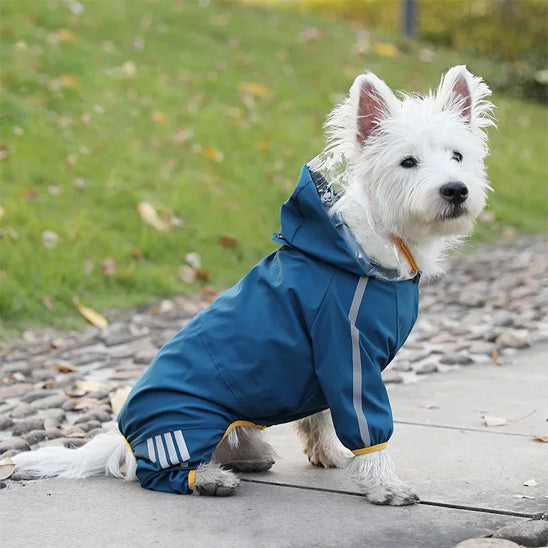Manteau pour chien - Printemps léger idéal pour la mi-saison