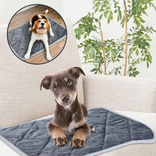 COUSSIN CHIEN SPACIEUX- SPACIOUSDOGâą