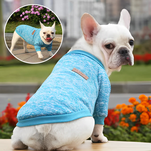 MANTEAU CHIEN GILET - VESTYDOGâą