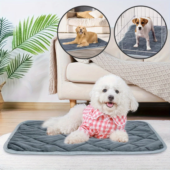 COUSSIN CHIEN SPACIEUX- SPACIOUSDOGâą