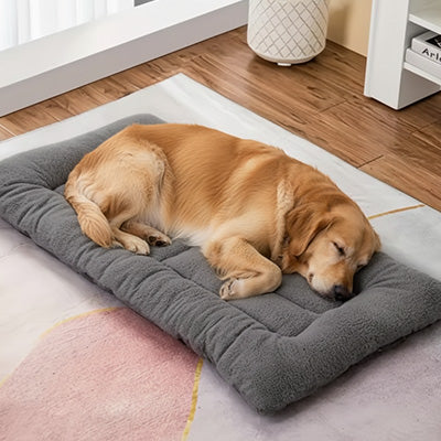 TAPIS CHIEN -PUISSANT