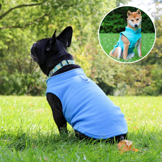 MANTEAU CHIEN CHALEUR -POLARDOGâą