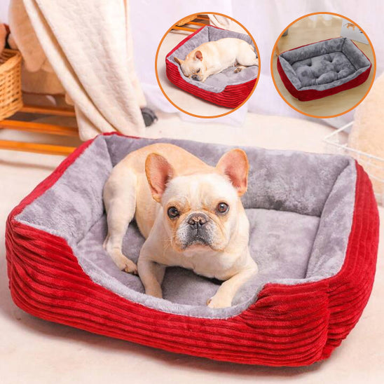 COUSSIN POUR CHIEN APPUI-SUPPORTDOG™
