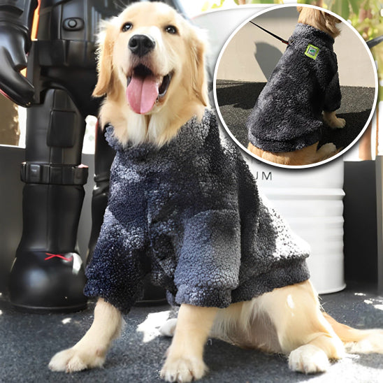 MANTEAU POUR CHIEN COUPE VENT -WINDOGâą