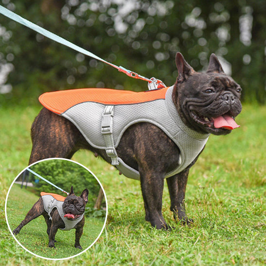 CHIEN MANTEAU JEUNESSE-YOUTHDOG™