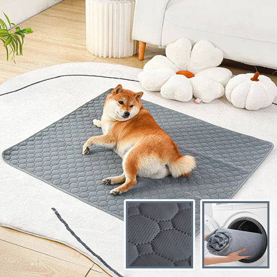 TAPIS POUR CHIEN PROPRE -OWNDOGâą