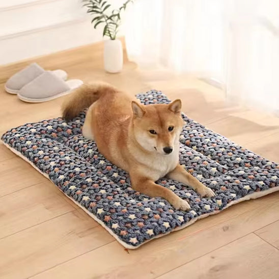 COUSSIN CHIEN MOBILE - MOVIBLEDOG™