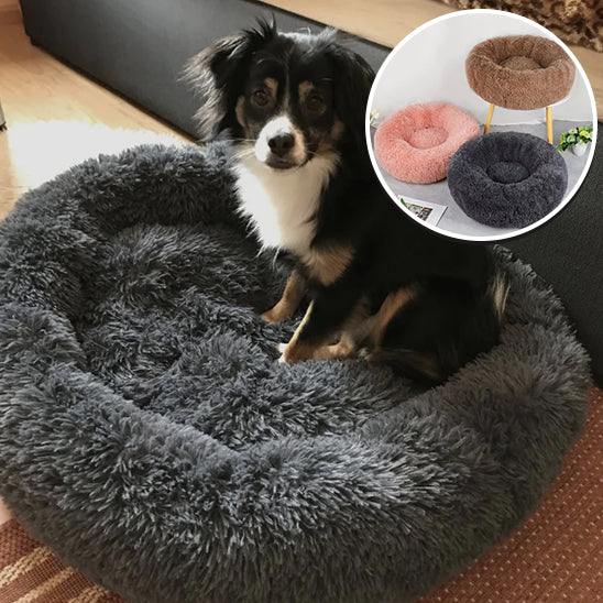 PANIER CHIEN DESIGN MIGNON-CUTYDOGâą