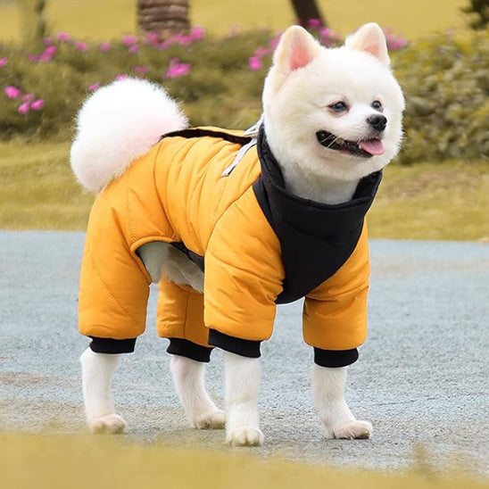 MANTEAU POUR CHIEN HIVER-FREEZDOGâą