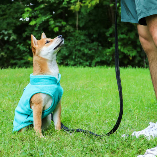 MANTEAU CHIEN CHALEUR -POLARDOGâą