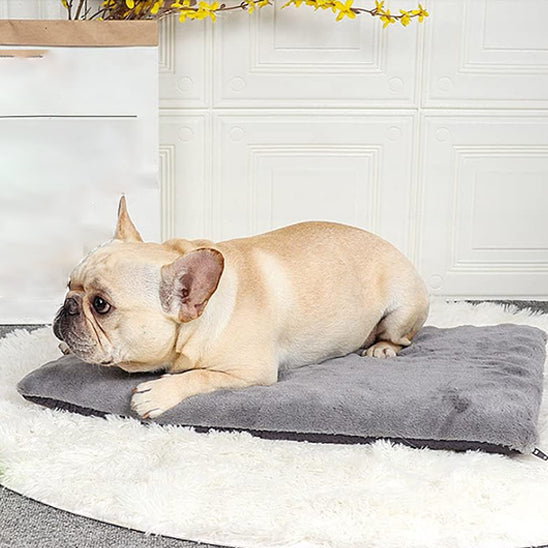TAPIS POUR CHIEN -KEENYDOGâą