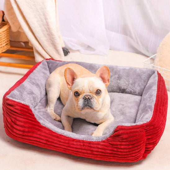 COUSSIN POUR CHIEN APPUI-SUPPORTDOG™