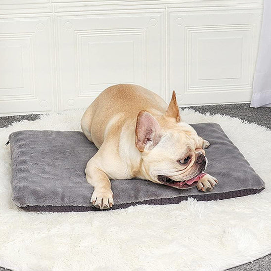TAPIS POUR CHIEN PEINARD-CUSHYDOGâą