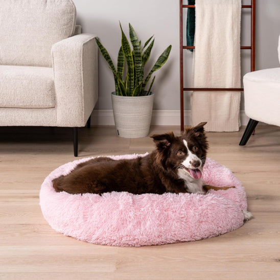 PANIER CHIEN CONFORTABLE-COMFYDOG™