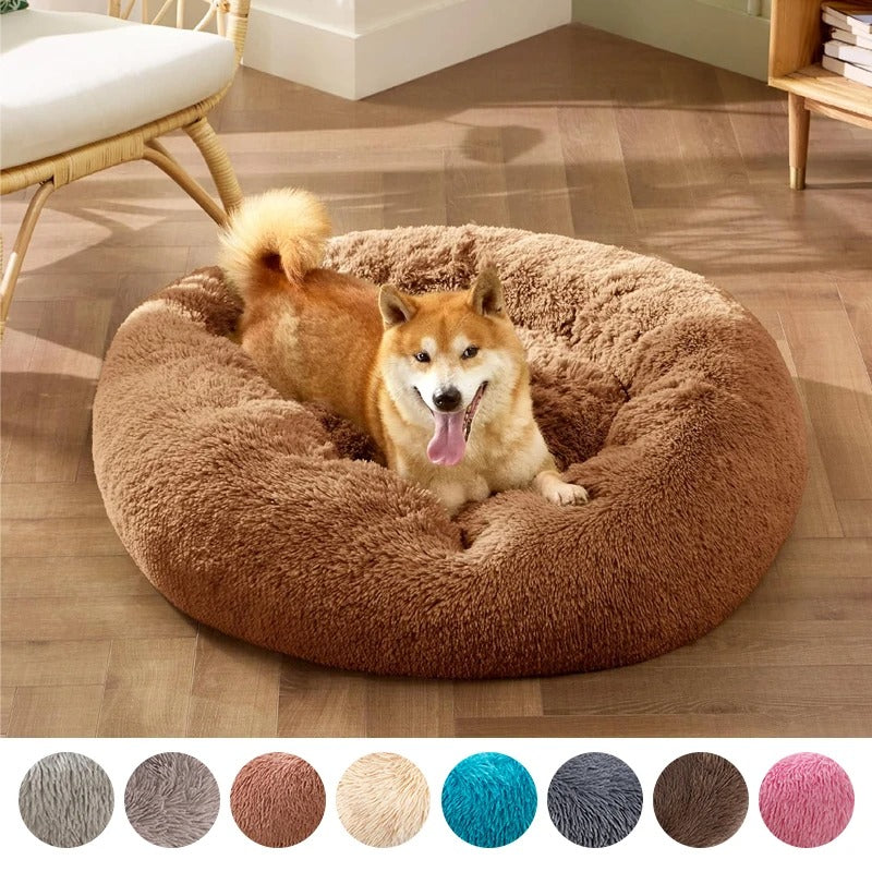 COUSSIN CHIEN CALME -QUIETDOGâą